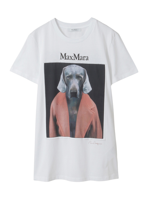 ピュア コットン ジャージー Tシャツ 詳細画像 アイボリー 5