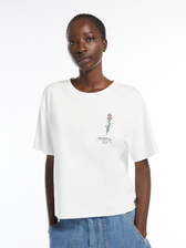 オーガニック コットン Tシャツ